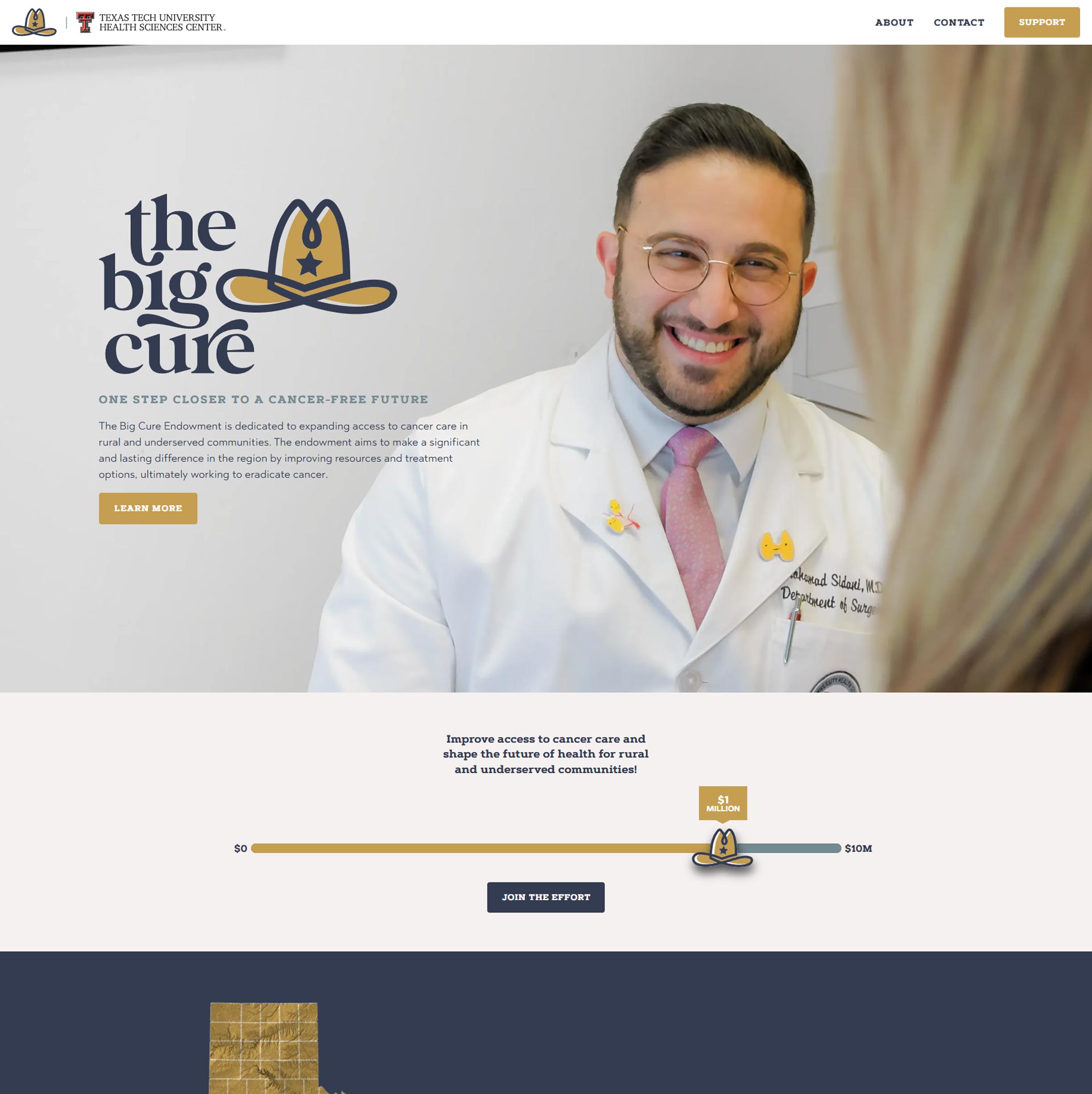 The Big Cure Website - TTUHSC and John Wayne Foundation